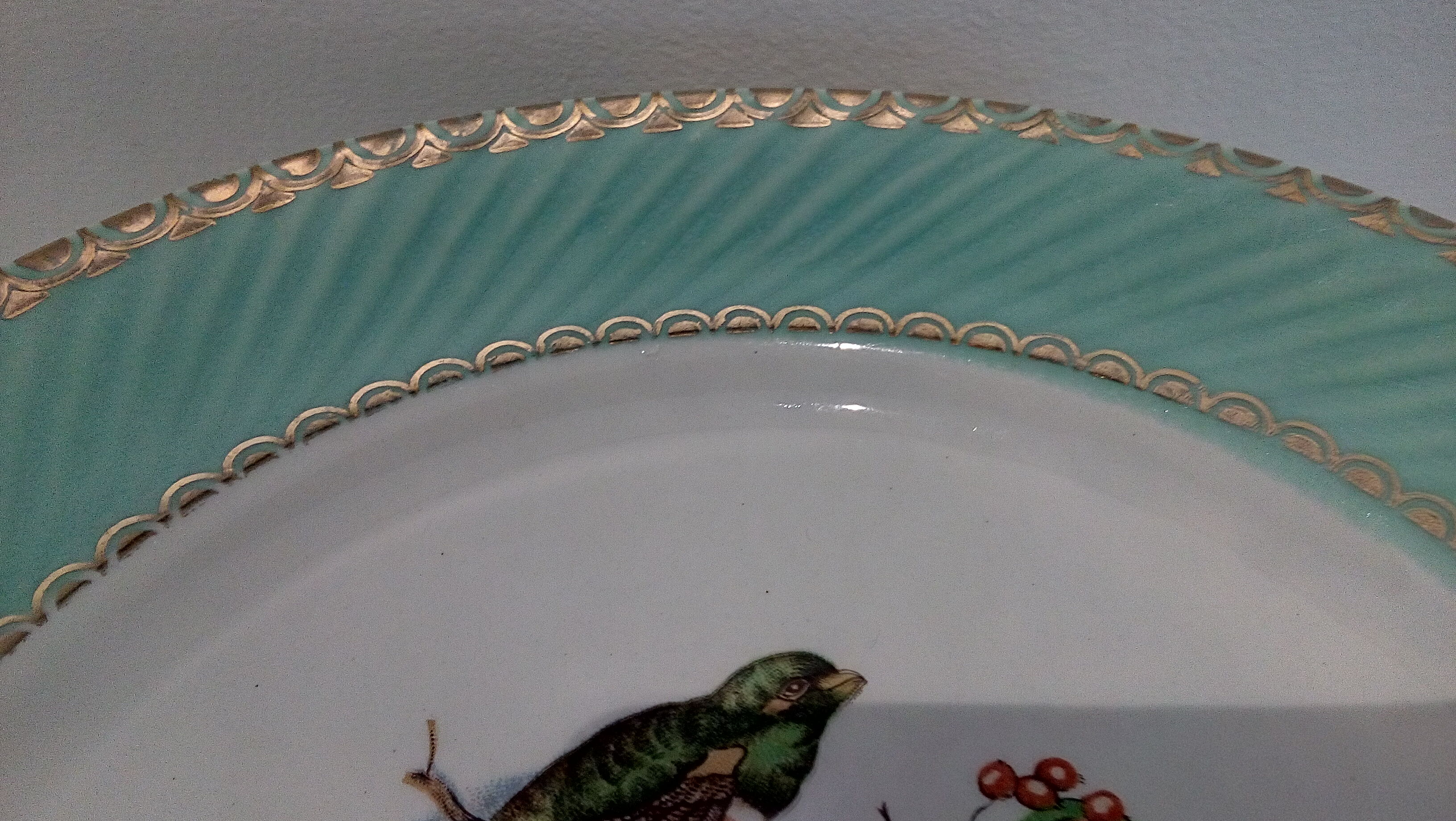Flat plates water green birds