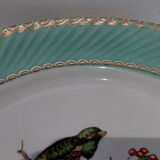 Flat plates water green birds