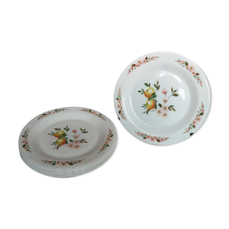 6 assiettes dessert Arcopal décor pomme fleur pommiers vaisselle ancienne elf
