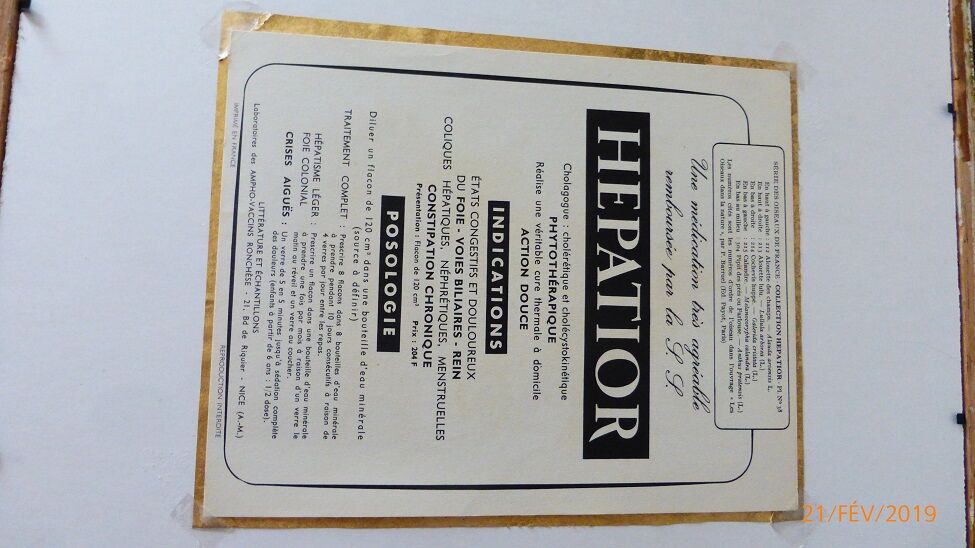 Birds - collection Hepatior N ° 38