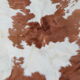89x92cm skin rug