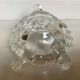 Arques crystal turtle