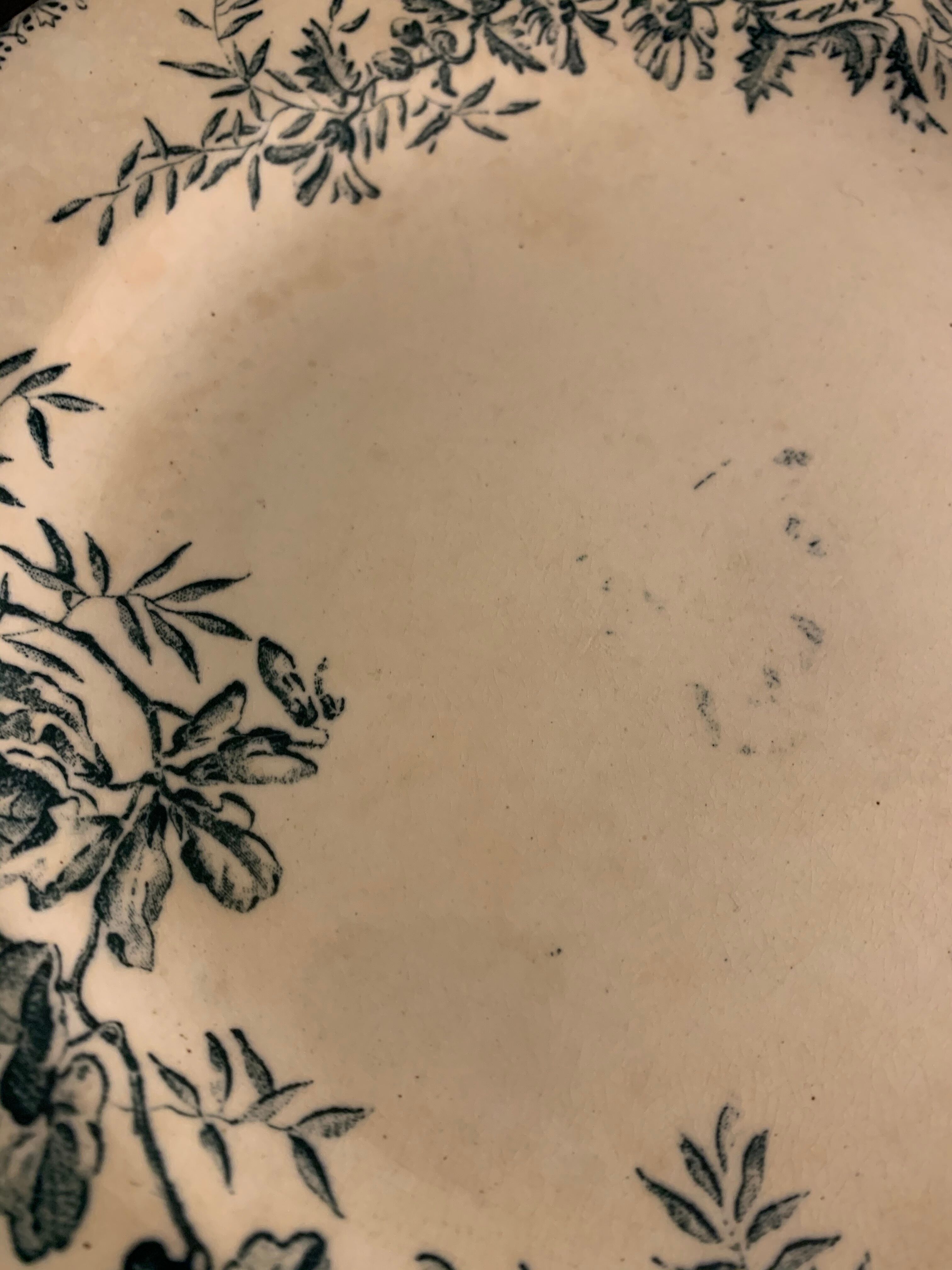 6 old blue flat plates La Samaritane Terre de Fer