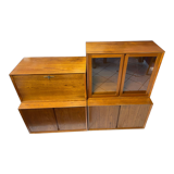 Furniture with Scandinavian design shelves in teak