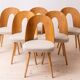 Set of 10 MidCentury Dining Chairs by A. Šuman, Reupholstery Options