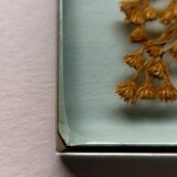 Lot of two glass frames