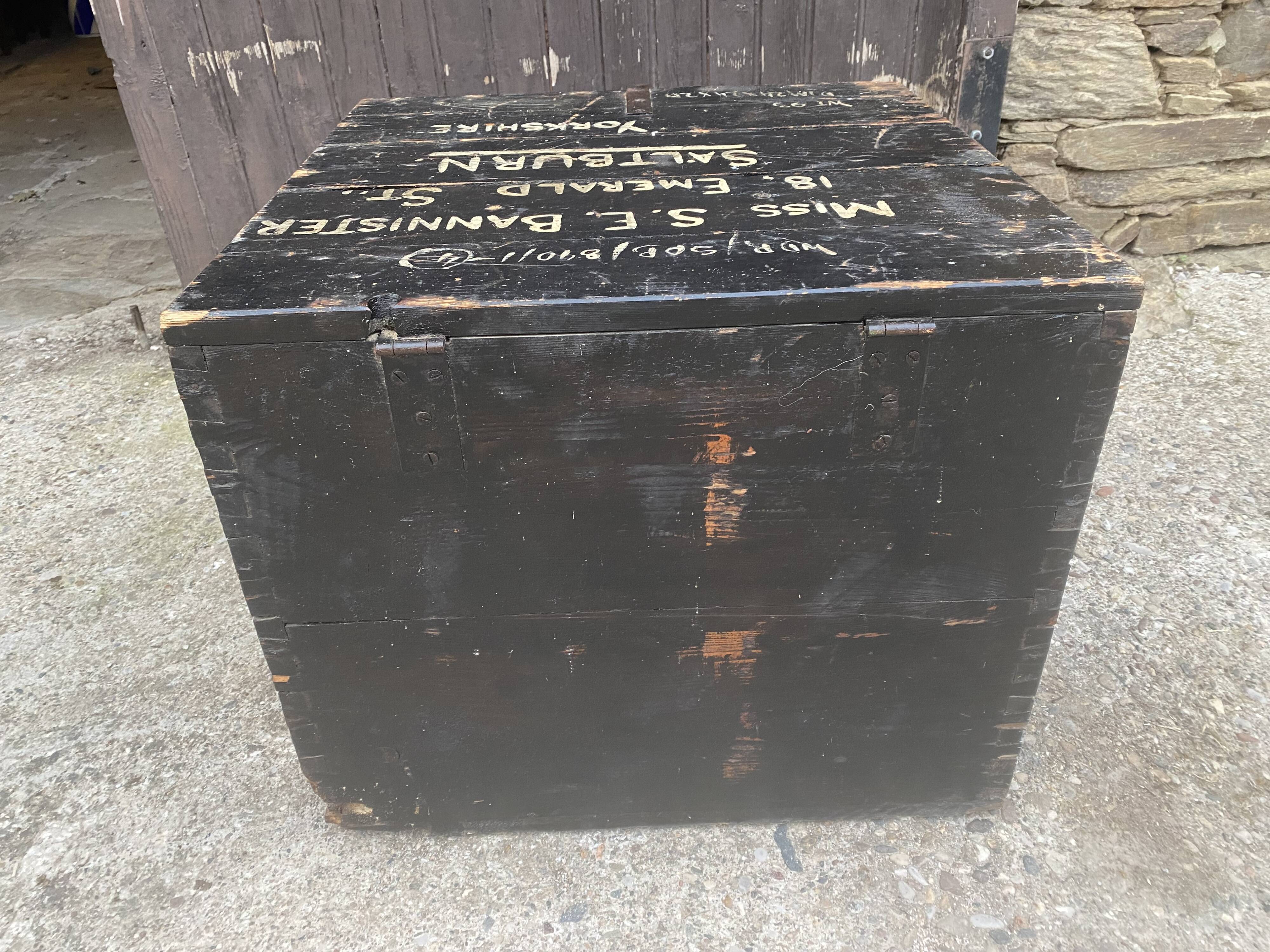 Large old trunk