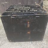 Large old trunk