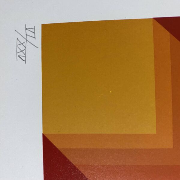 Sérigraphie sur papier - Jim Bird - Tribute to Vasarely