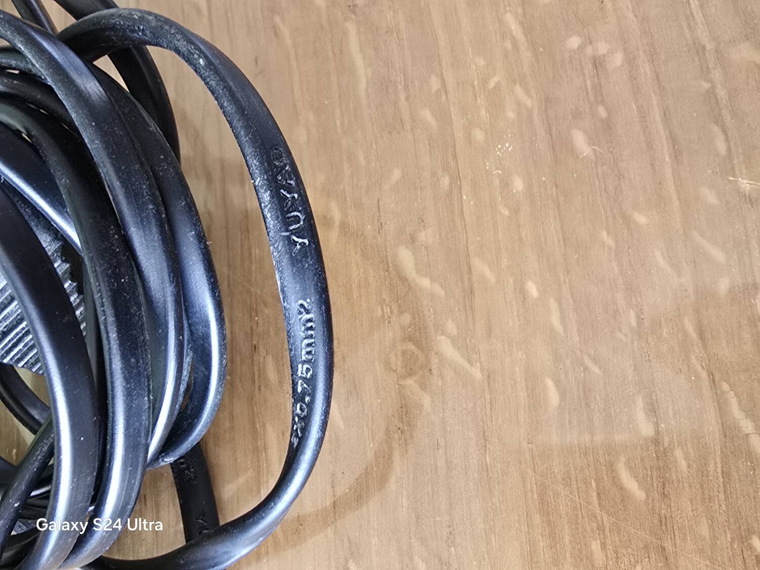 Toucan lamp, vintage penguin