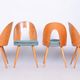 Set of Four Original Midcentury Ash Chairs by Antonin Suman, Czechia, 1930s