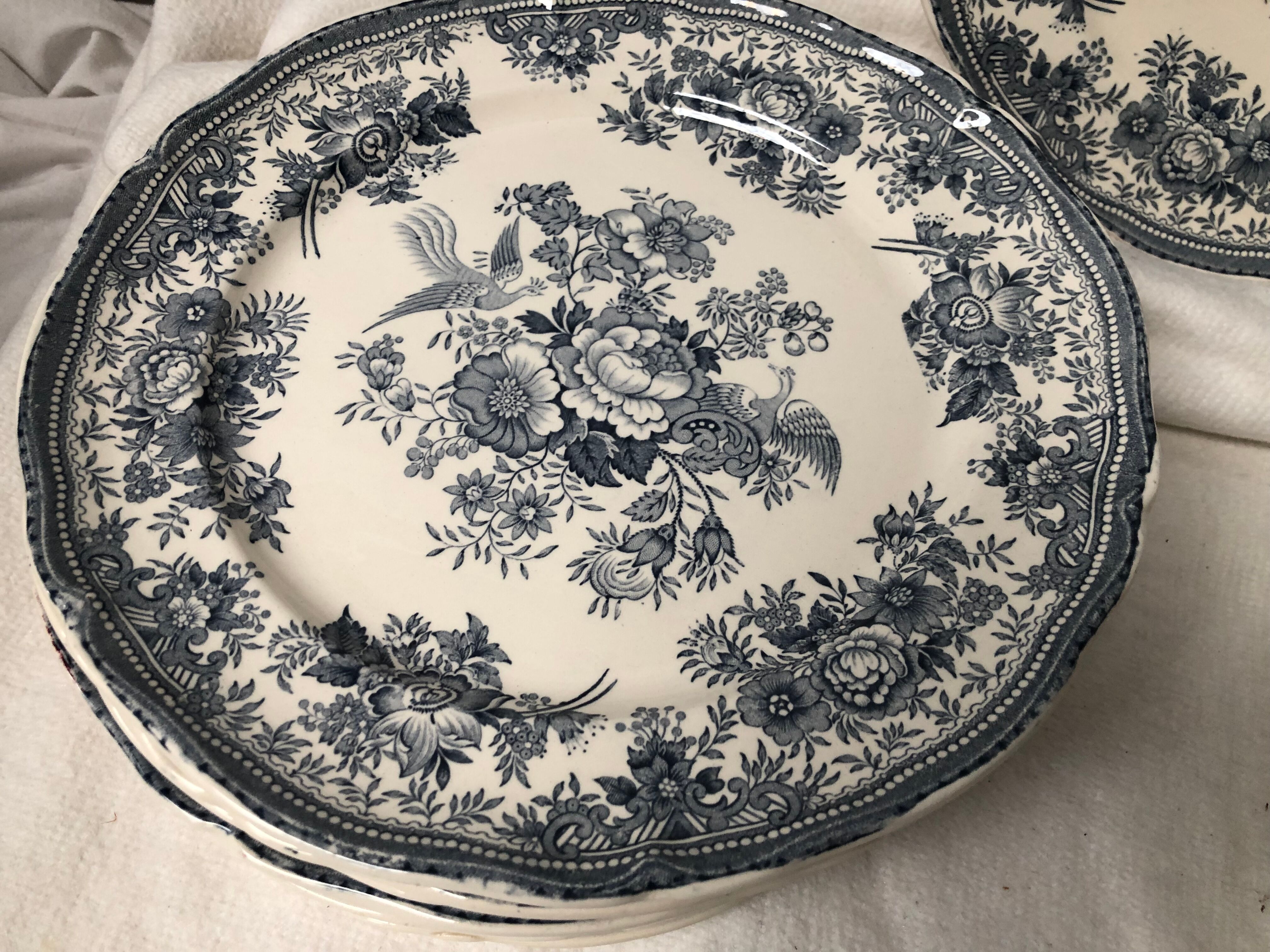 Set of 6 plates Villeroy and Boch Fasan