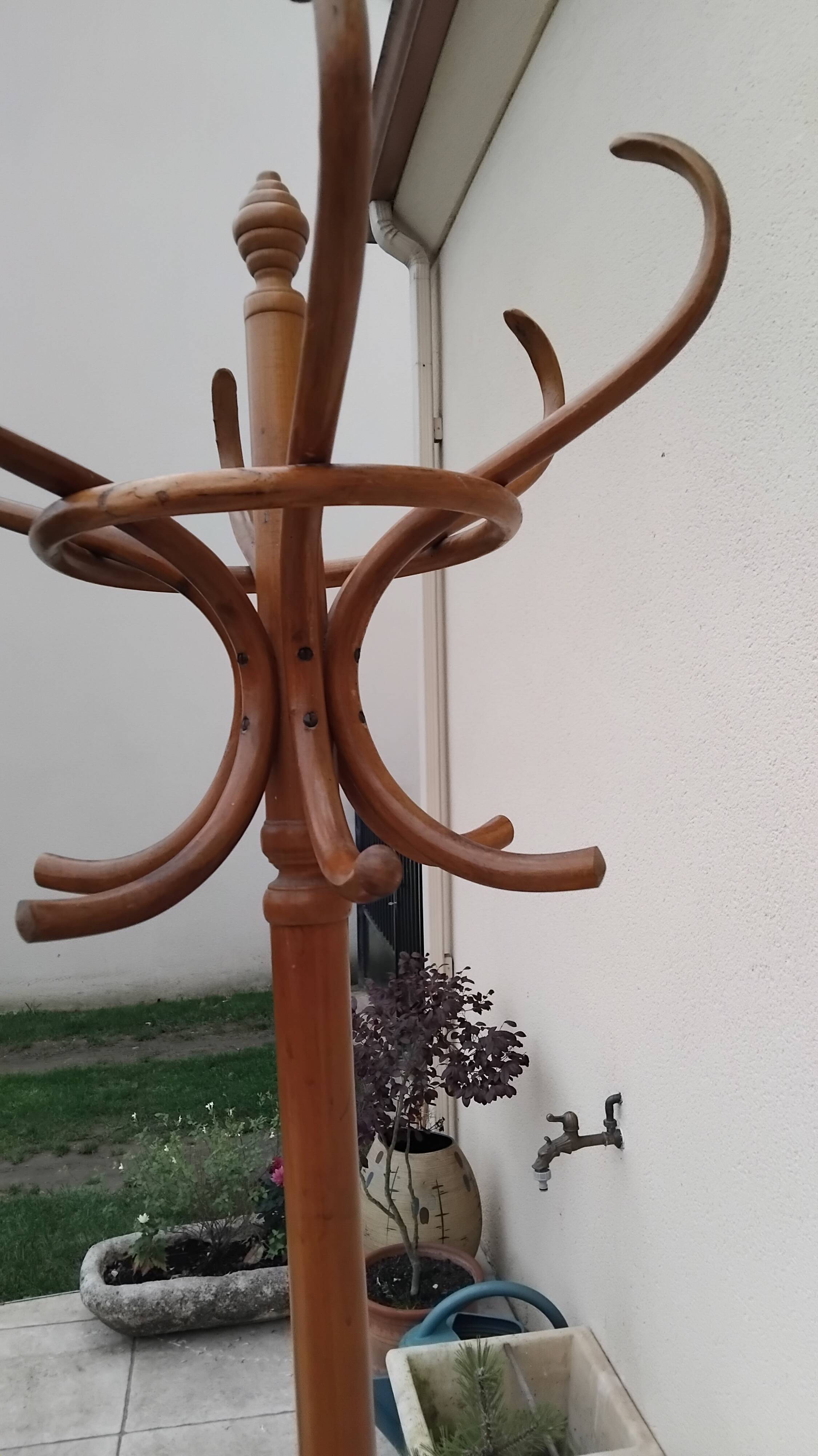 Antique parrot coat rack signed THONET