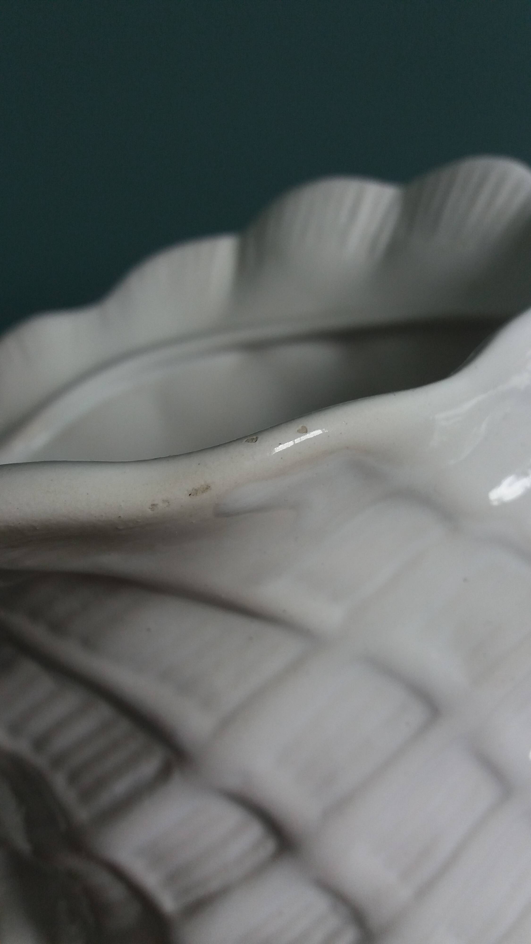 Ceramic conch shell, plant pot or trinket dish.