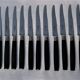 12 dessert knives hors d'oeuvre cheese- handle ebène