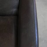 Vintage Leather Design Armchair by De Sede, Model DS50