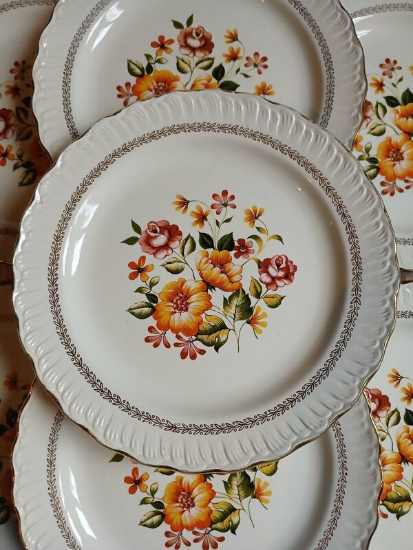 12 assiettes plates anciennes ''Capri