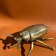 Zoomorphic scarab ashtray