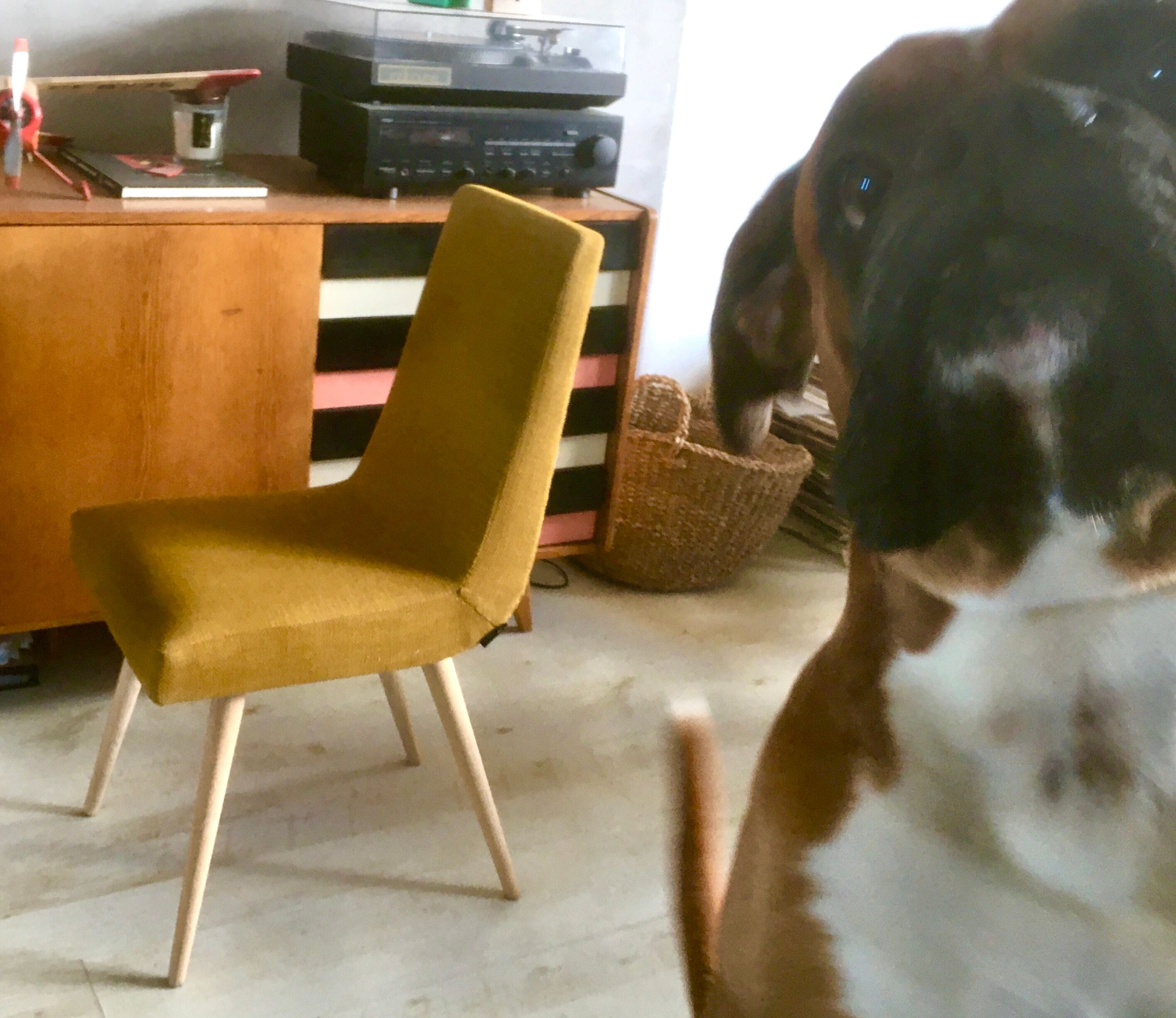 Original polish mid-century chair 200-113 designed in 1960s by R.T. Hałas