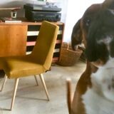 Original polish mid-century chair 200-113 designed in 1960s by R.T. Hałas