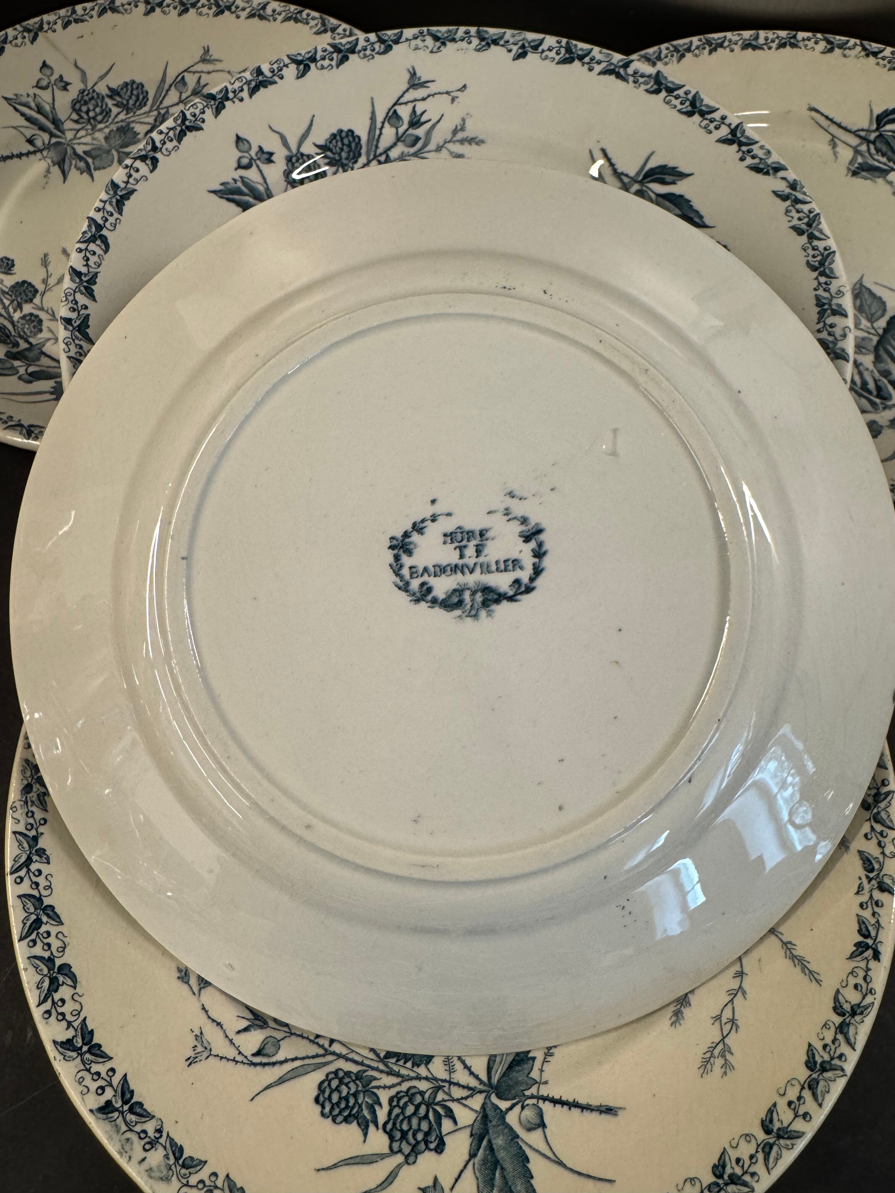7 deep plates in ironstone "Mûre" Badonviller
