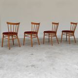 Set of 4 dining room chairs by Antonin Suman for Tatra Nabytok