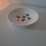 Deep plate Salins France