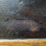 Old trunk