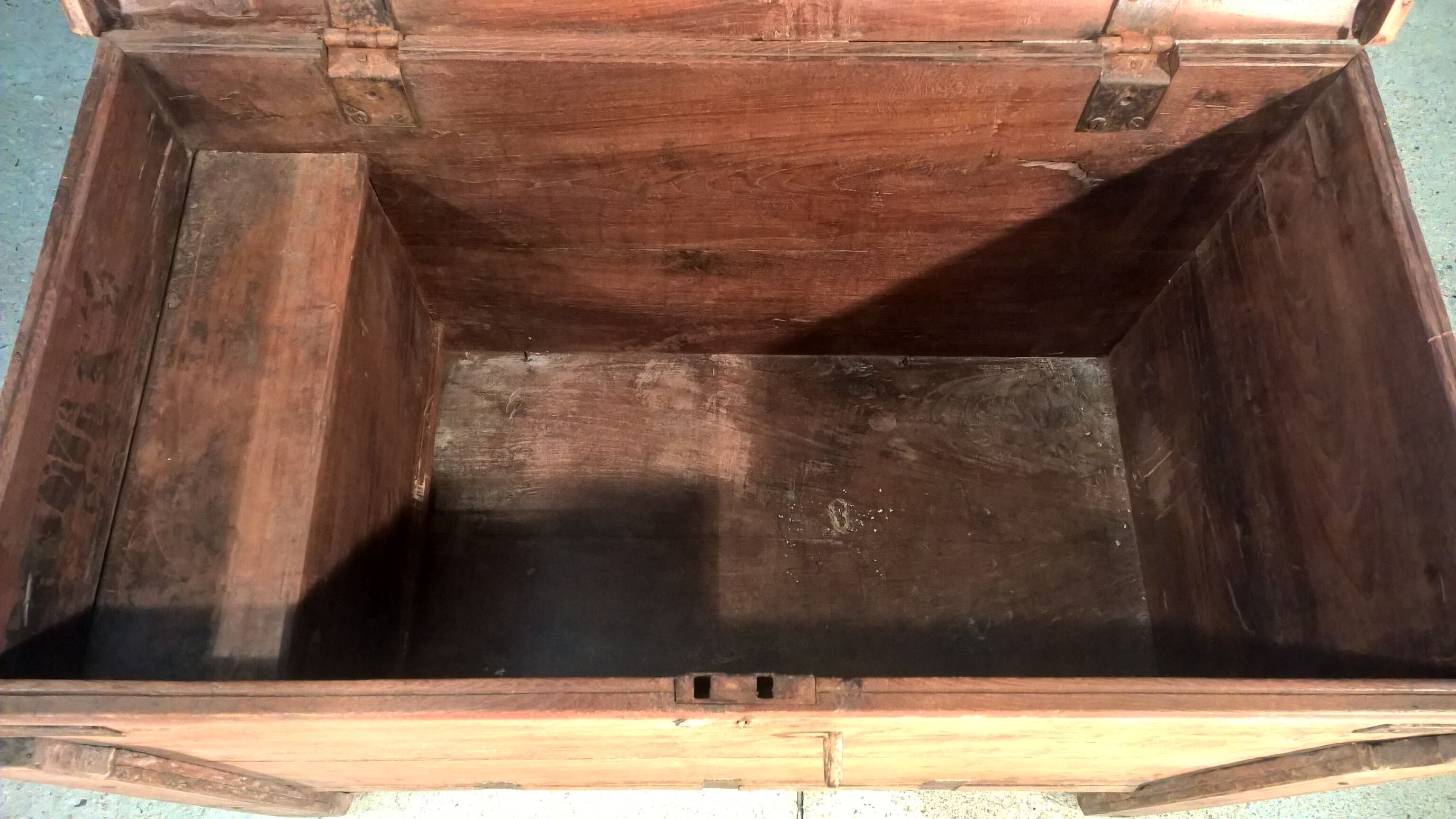 Trunk goannais ink310