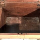 Trunk goannais ink310