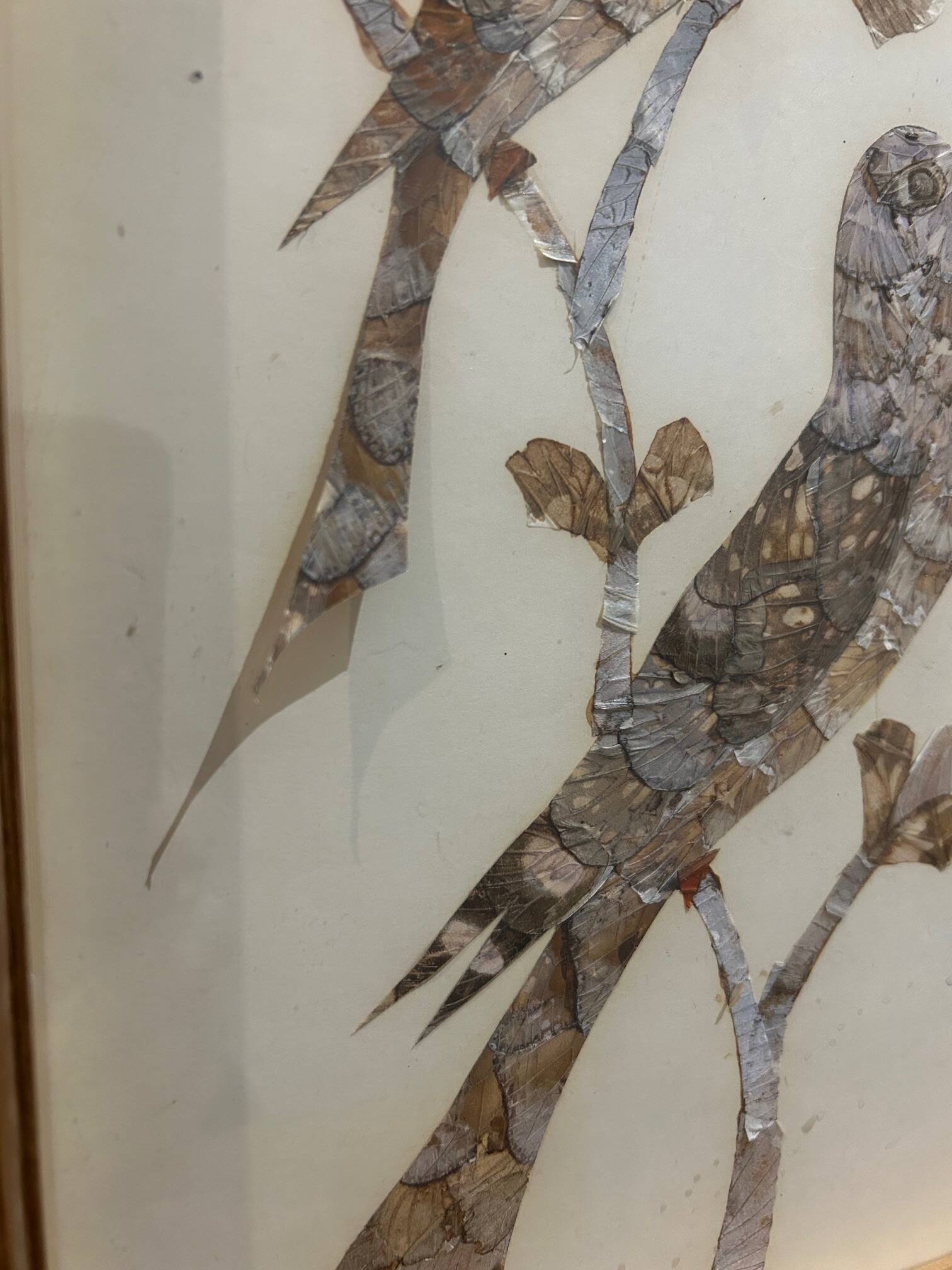 cadre sous verre aux oiseaux