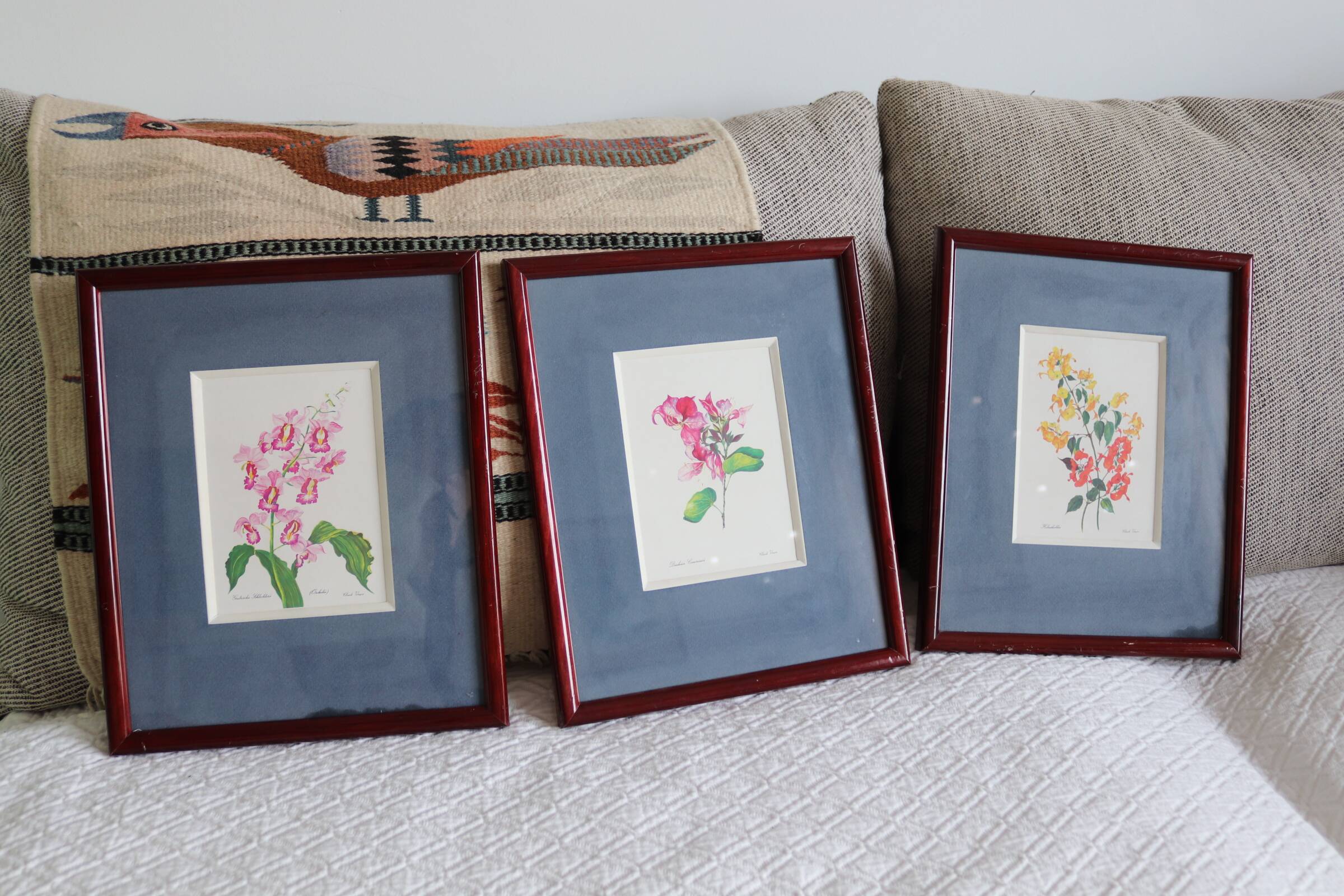 3 botanical illustrations flowers Claude vinçon