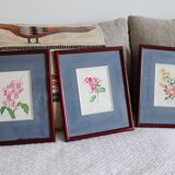 3 illustrations botaniques fleurs Claude vinçon
