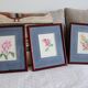 3 botanical illustrations flowers Claude vinçon