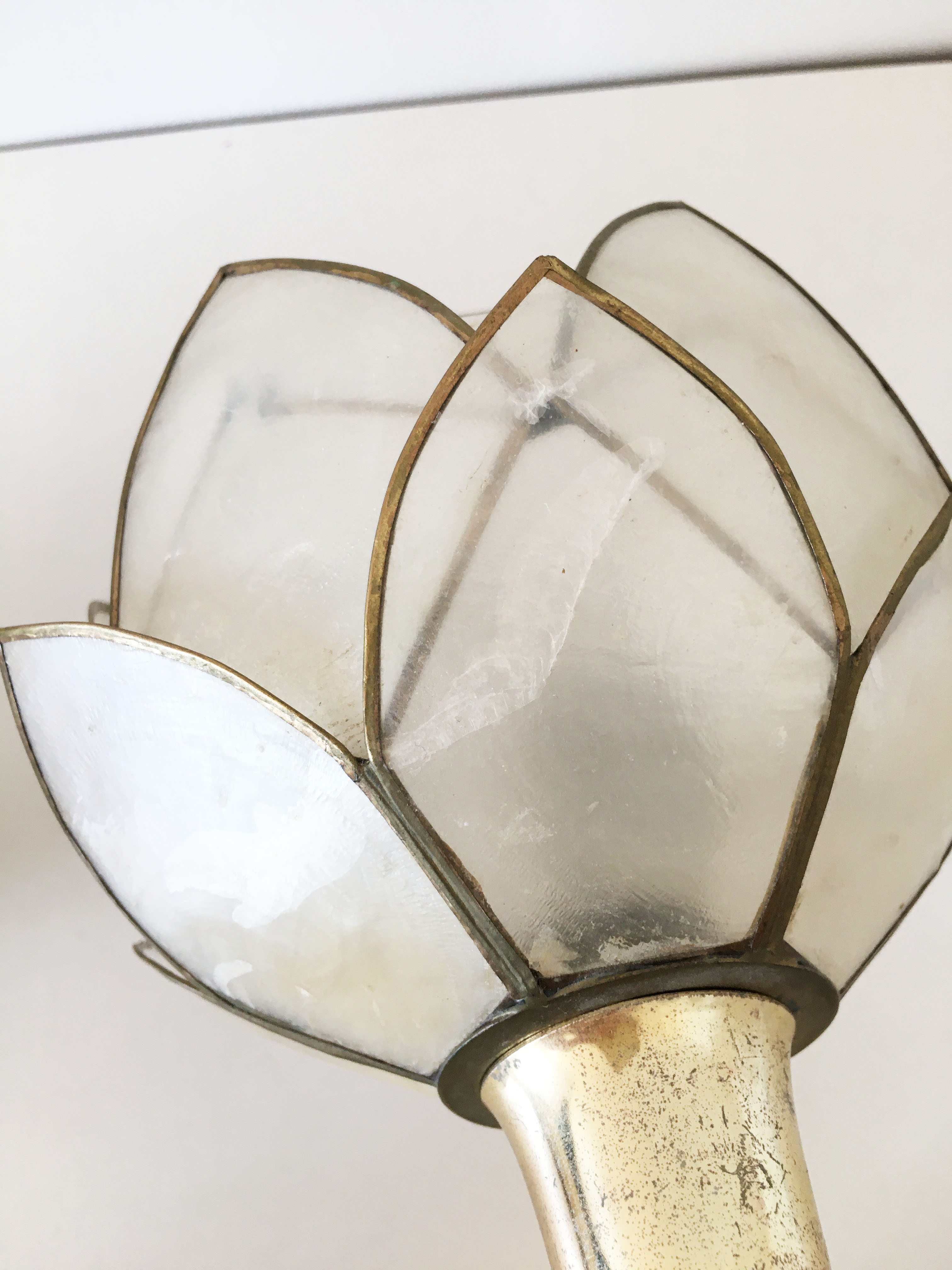Pair of mother-of-pearl flower sconces