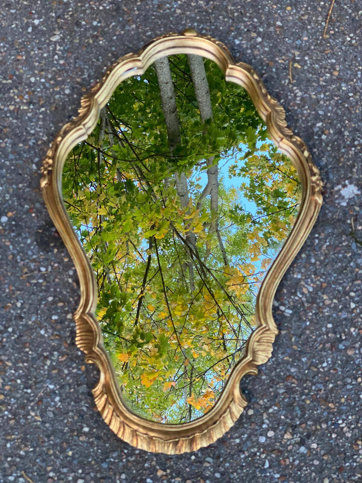 Baroque mirror in gilded Louis XV style 60x40cm