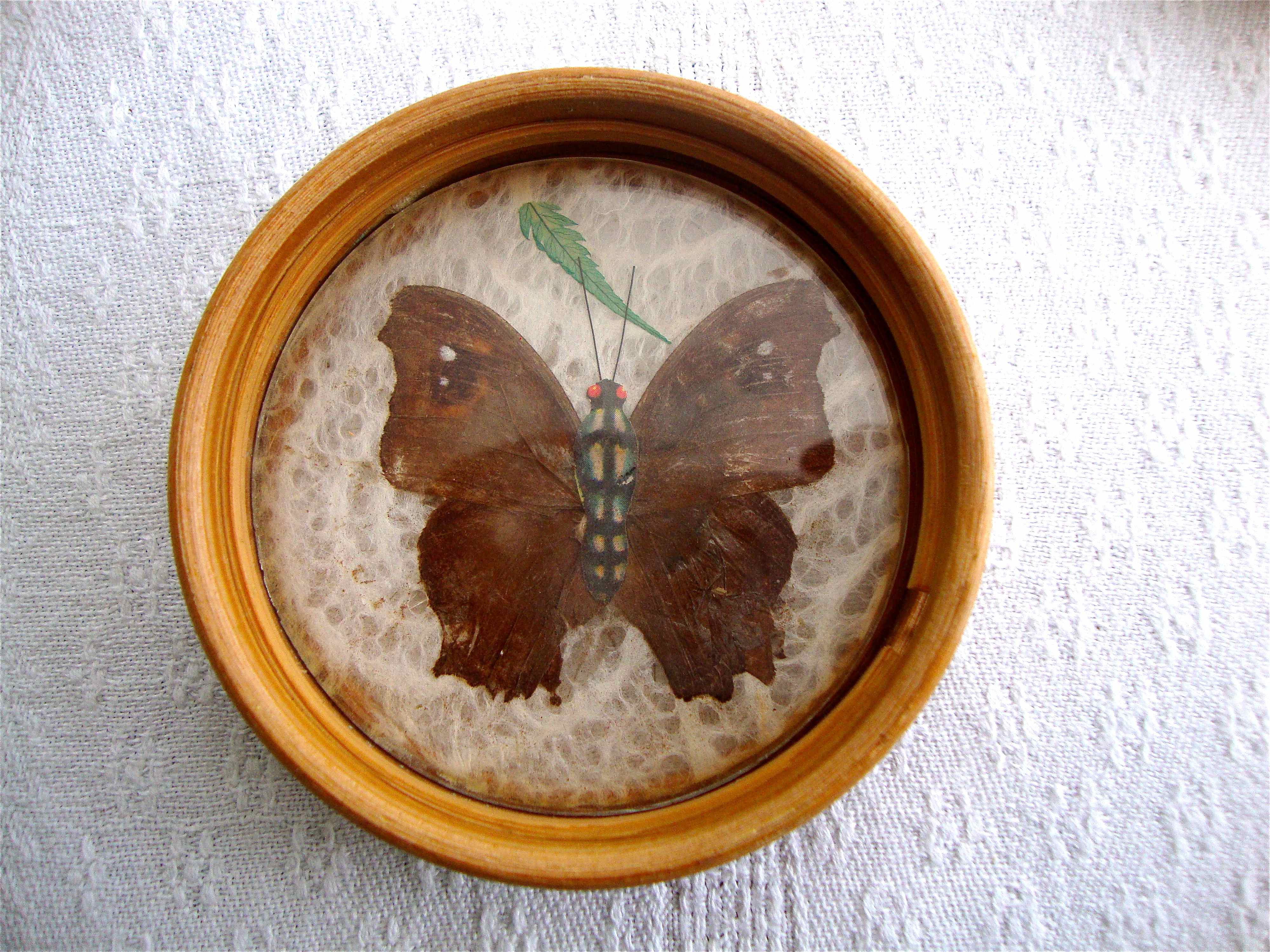 Butterfly tray and coasters