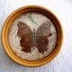Plateau et sous-verres papillons