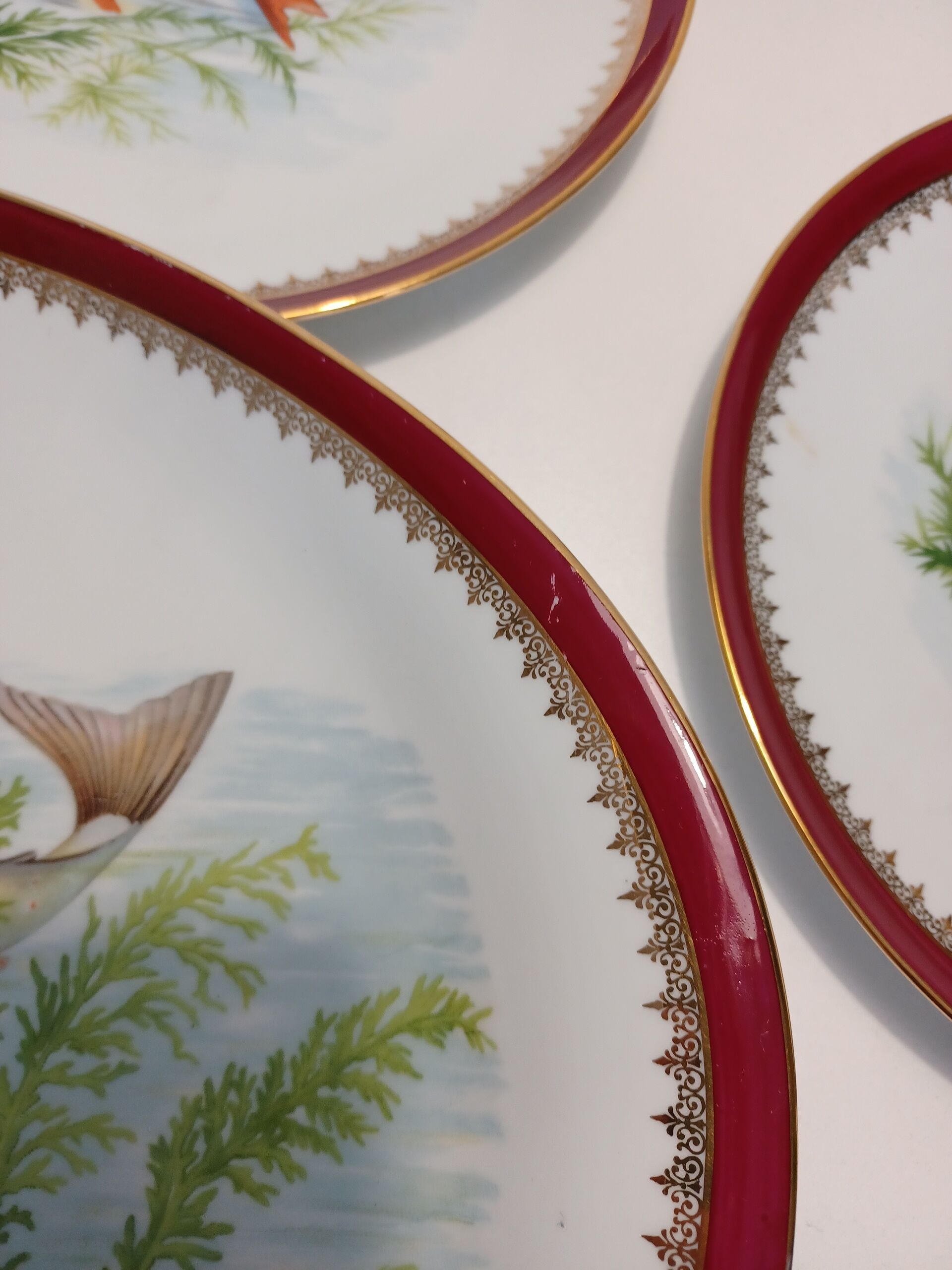 Ensemble d'assiettes à poisson Limoges : assiette de service française décorée à la main - France