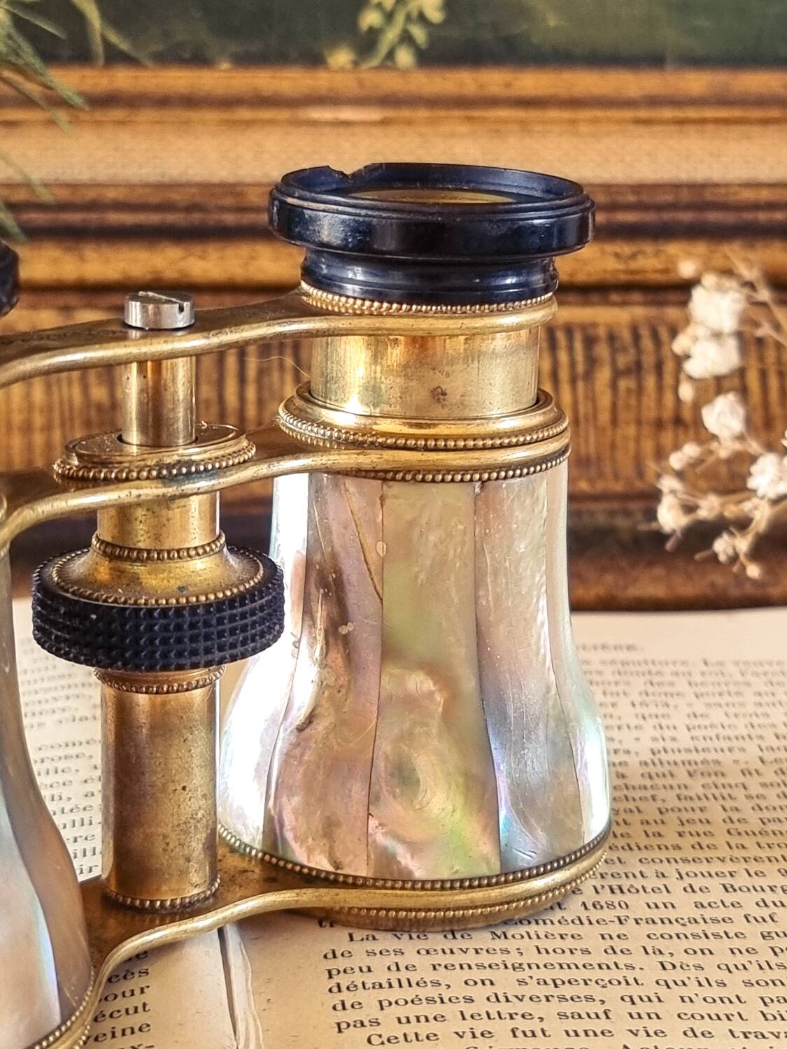Theater binoculars in mother-of-pearl and brass, 19th century