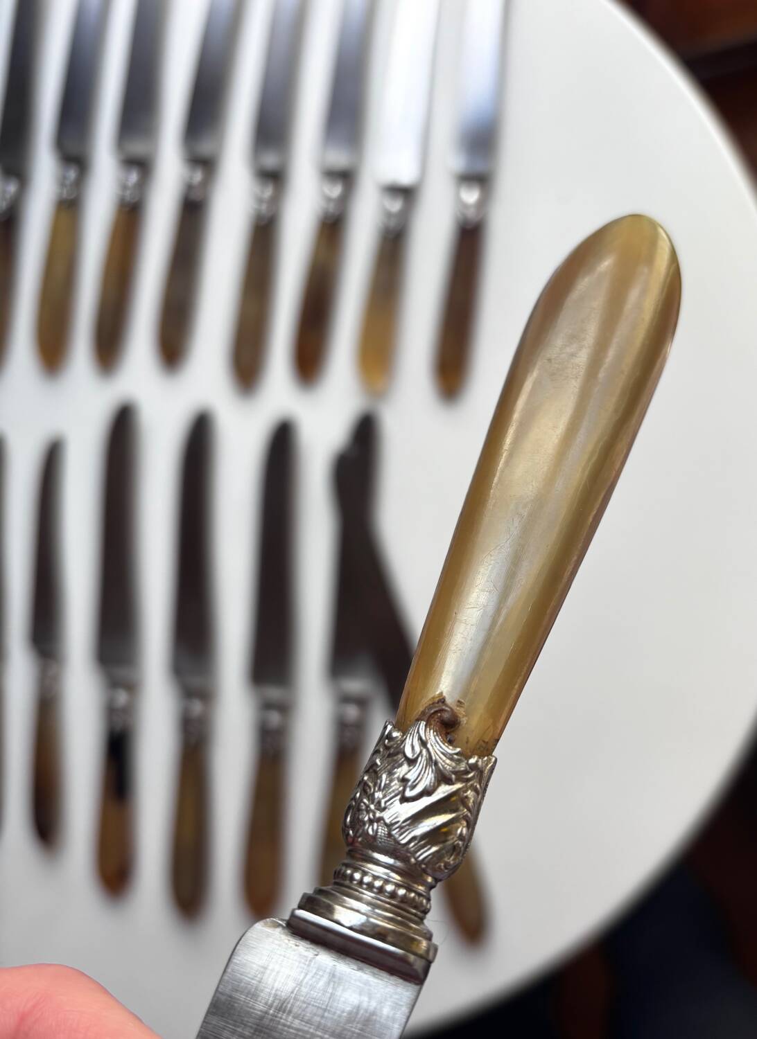 18 Wiskemann table knives in horn