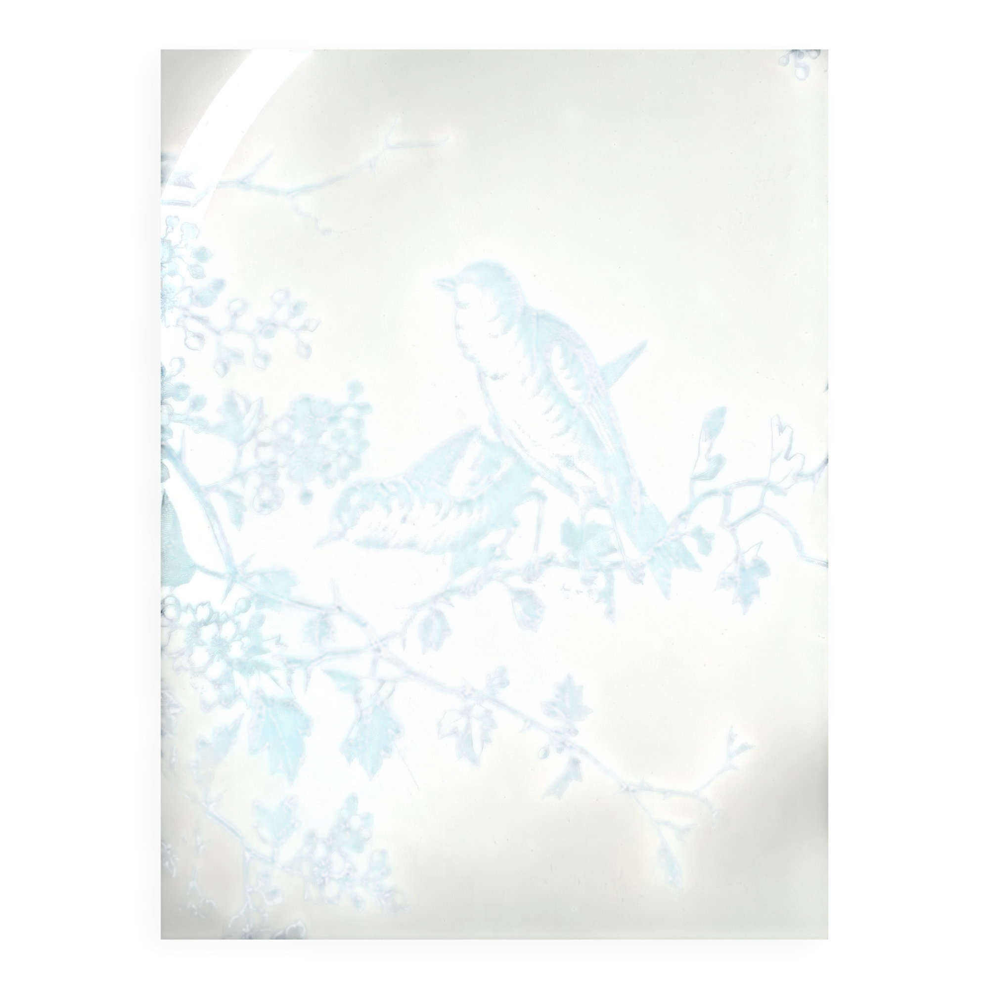 Luneville and KG Fauvette dinner plate