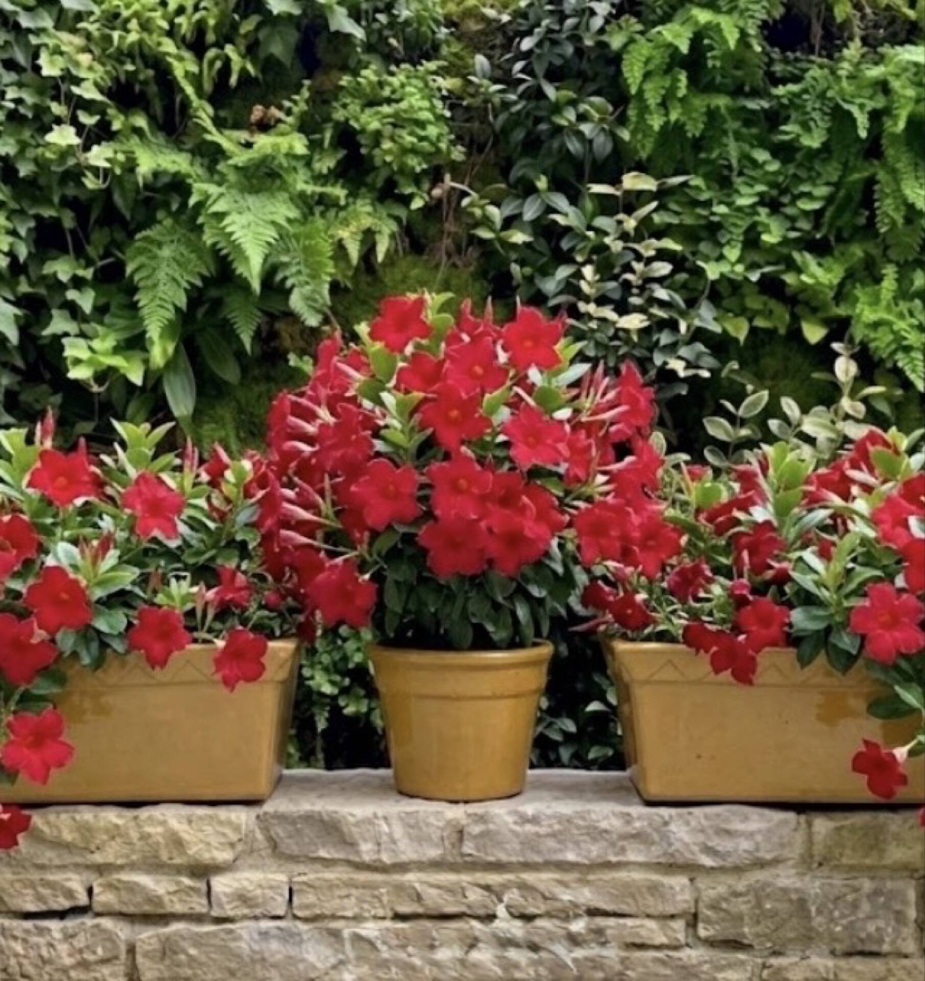 Italian garden pot silma from the 1970s