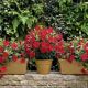 Italian garden pot silma from the 1970s