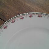 10 Limoges porcelain flat plates