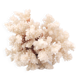 White coral, 70s