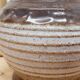 Ceramic vase West Germany