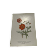 Old double-sided botanical engraving naturalist plate 1800