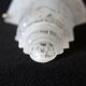 Large Art Deco lampshade in frosted glass, geometric floral pattern