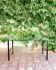 Metal and glass coffee table